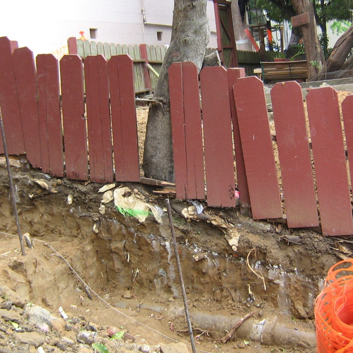 Example of bad tree protection