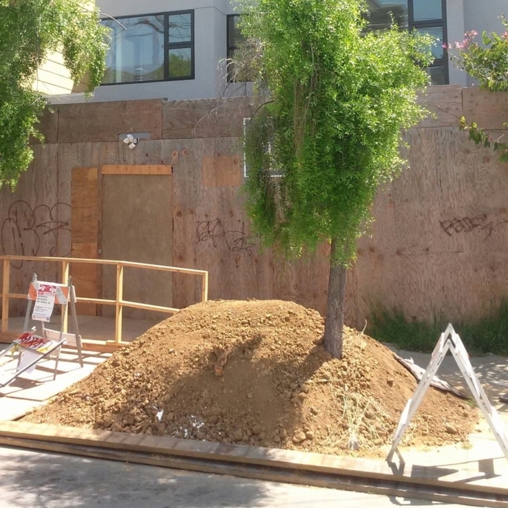Example of bad tree protection