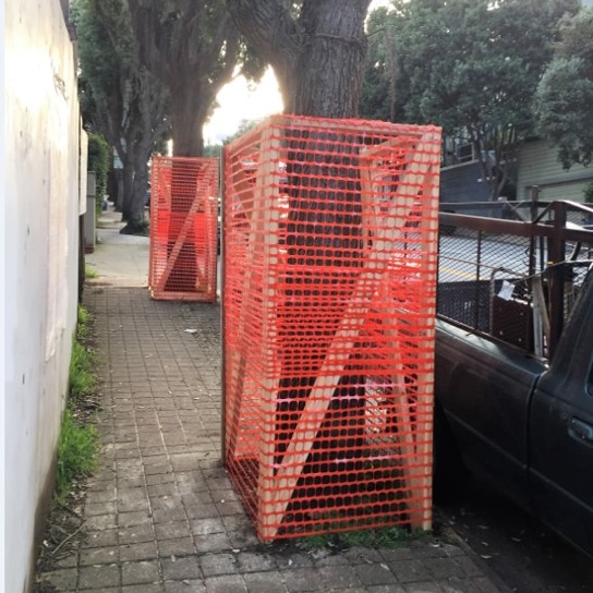 Example of good tree protection