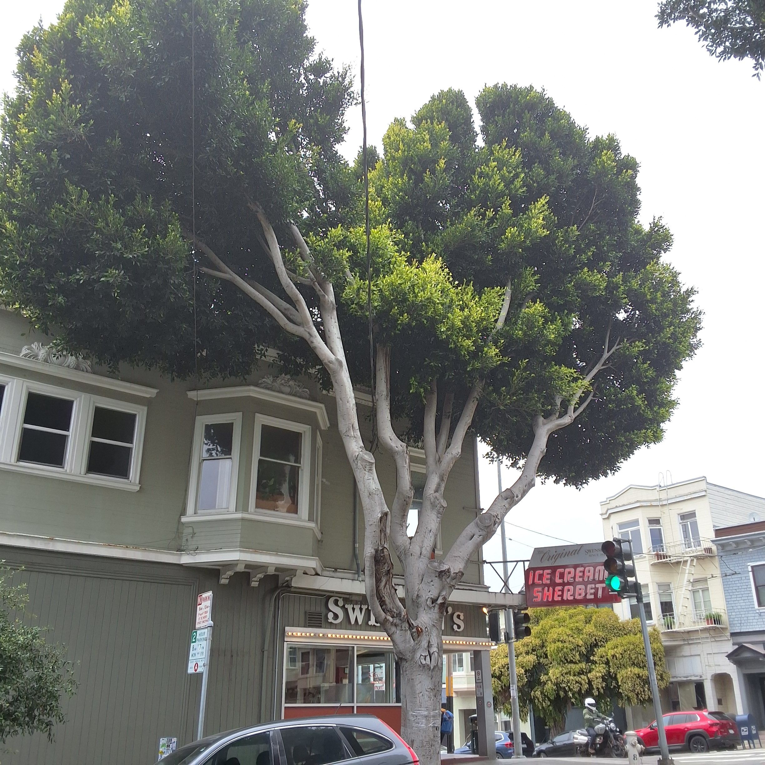 1999 Hyde St