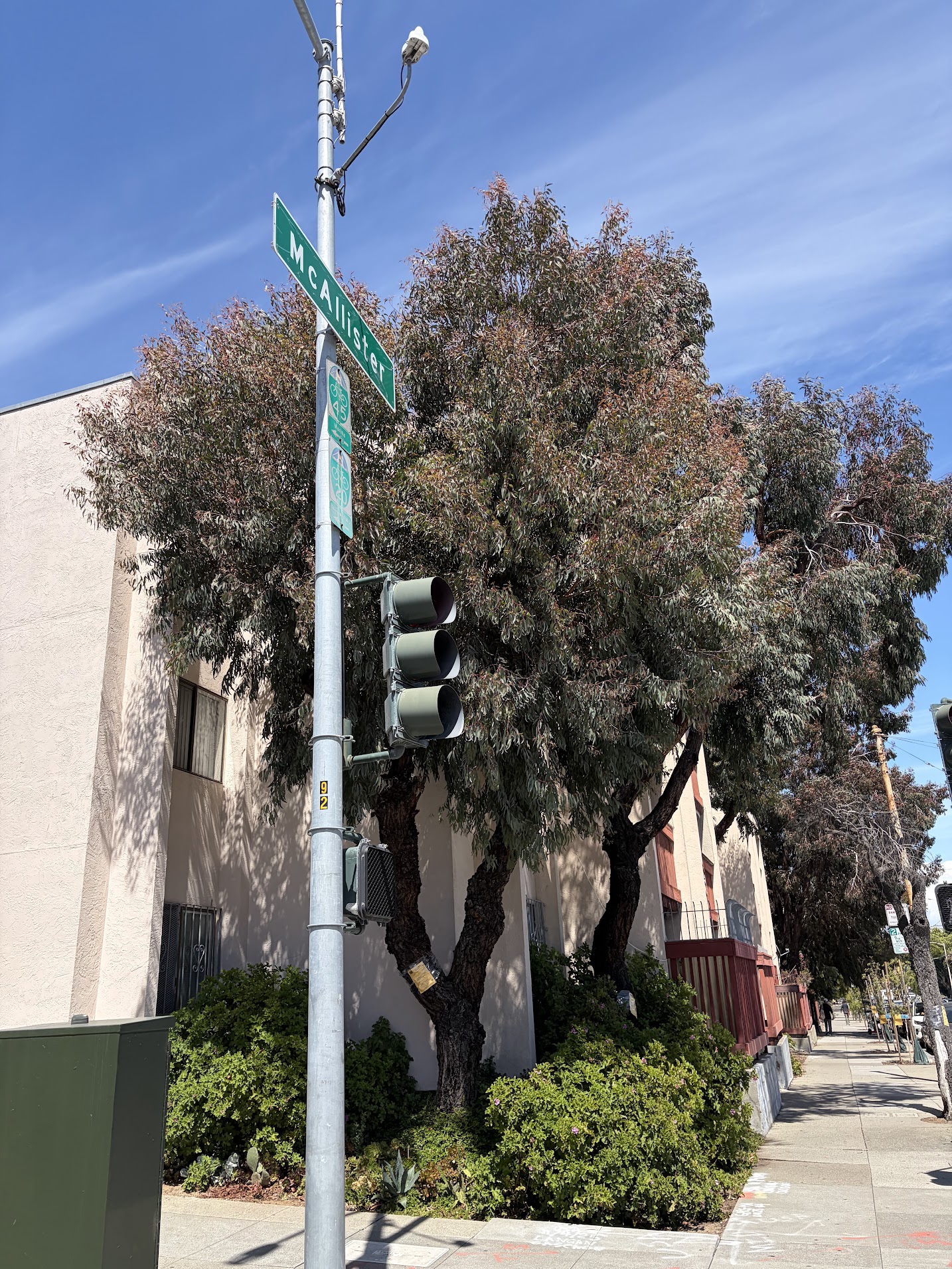 880 McAllister Street tree 