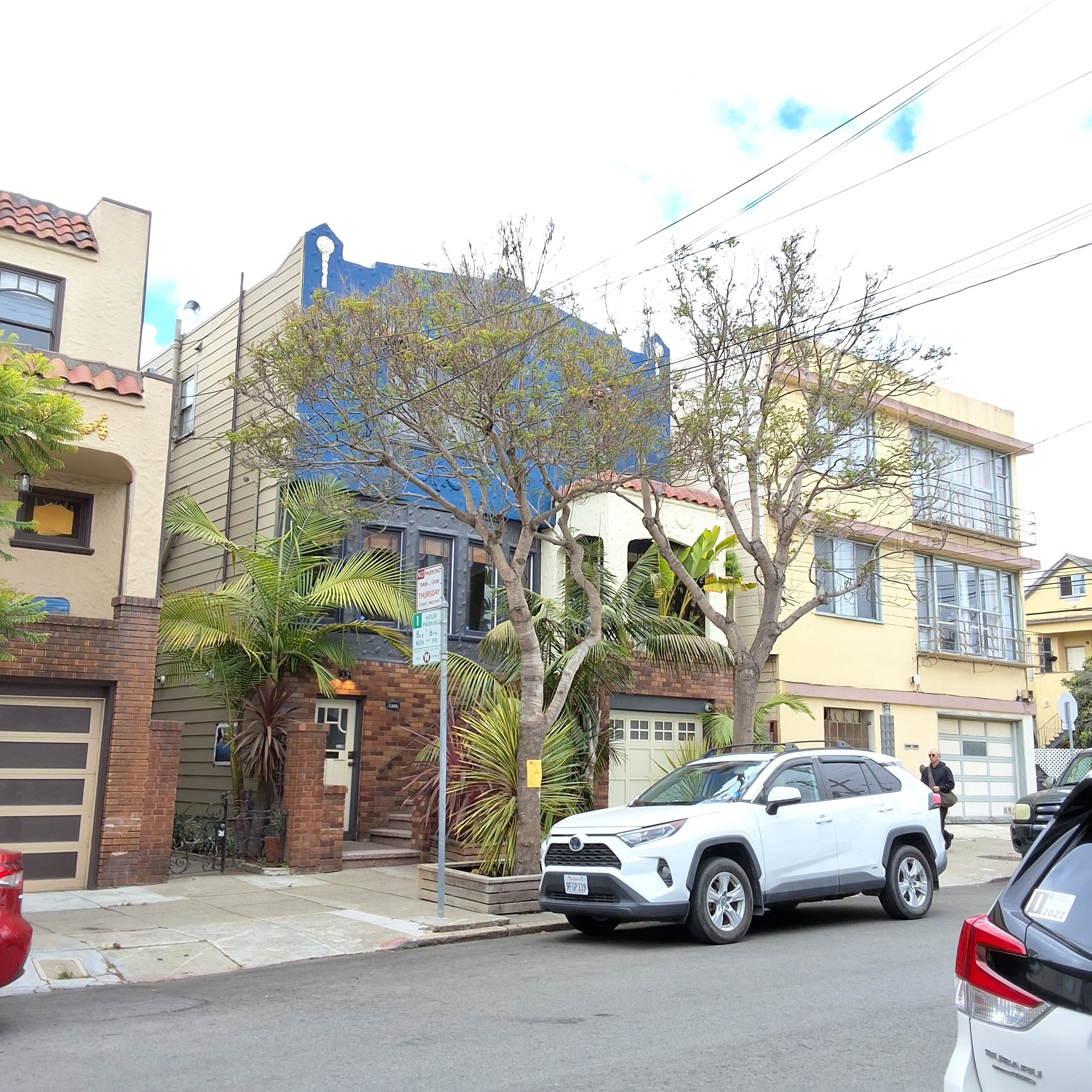 1306 York Street tree