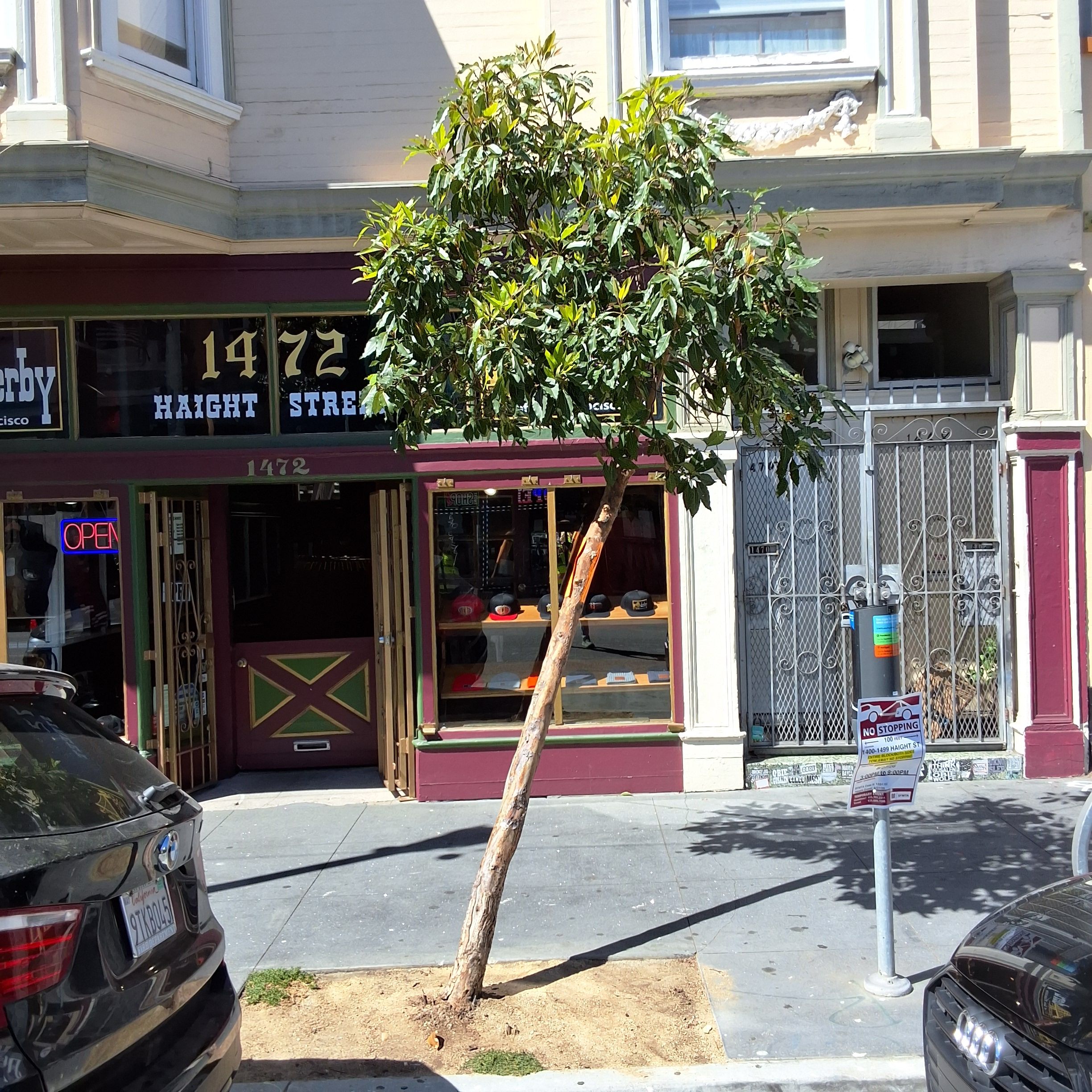 1472 Haight Street tree