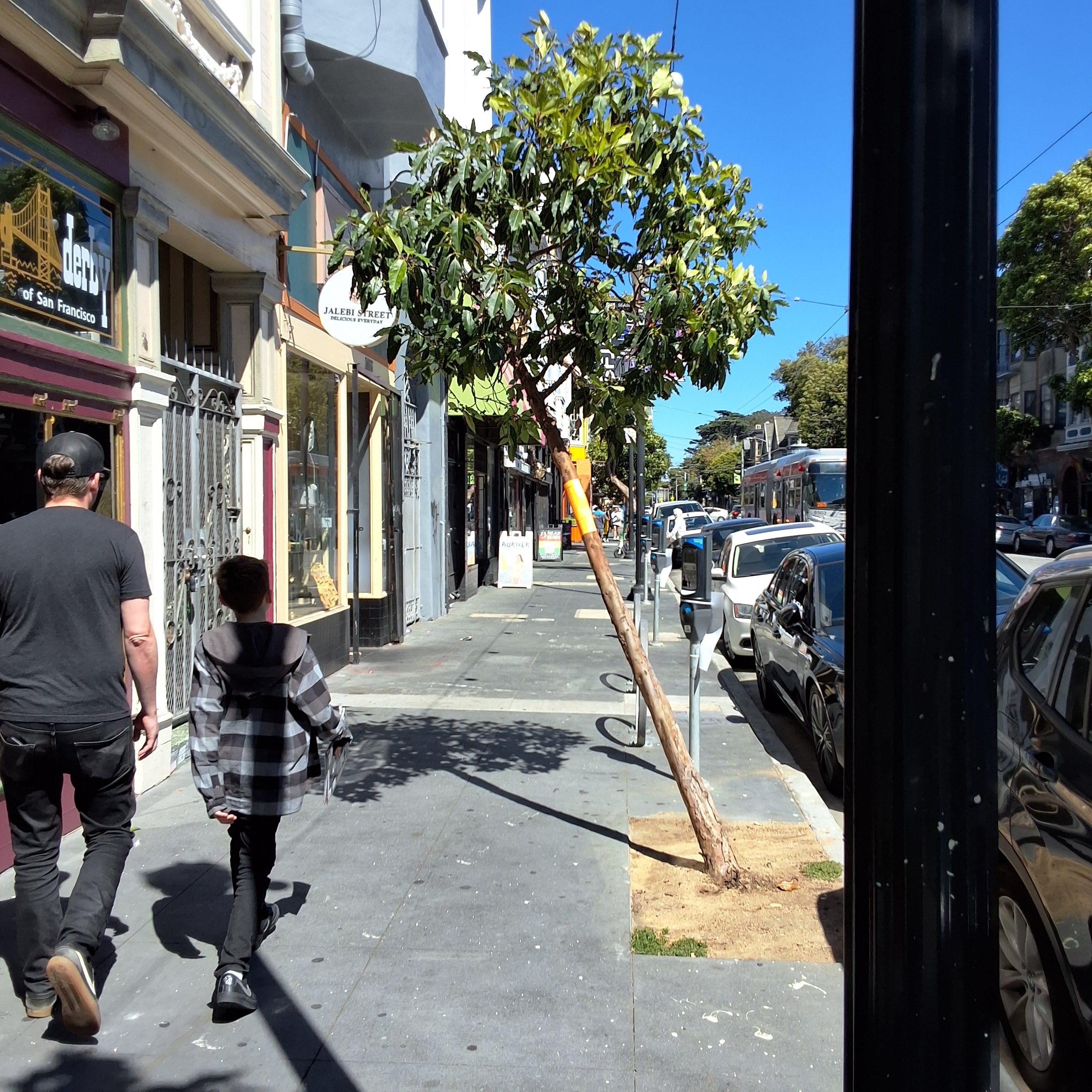 1472 Haight Street tree