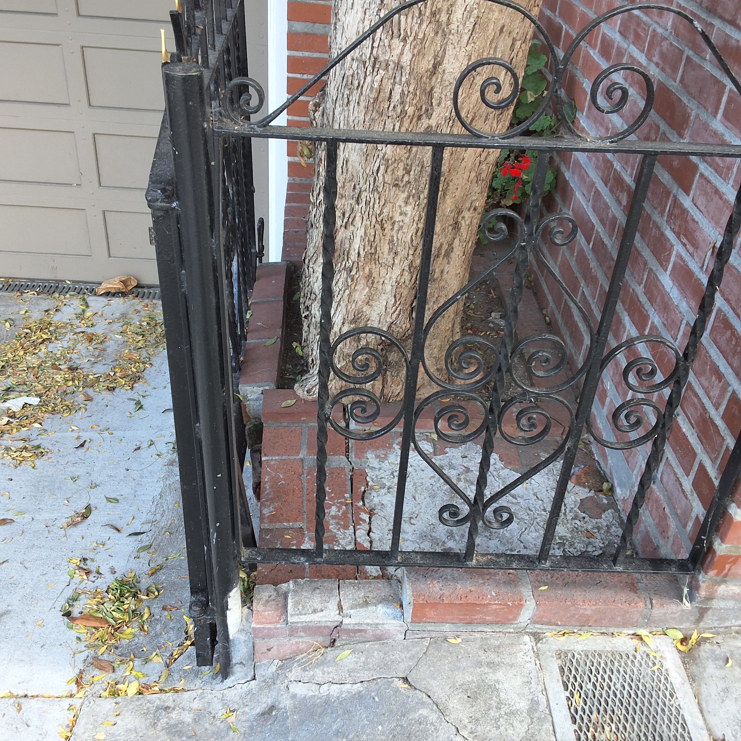 1931 15th Avenue tree