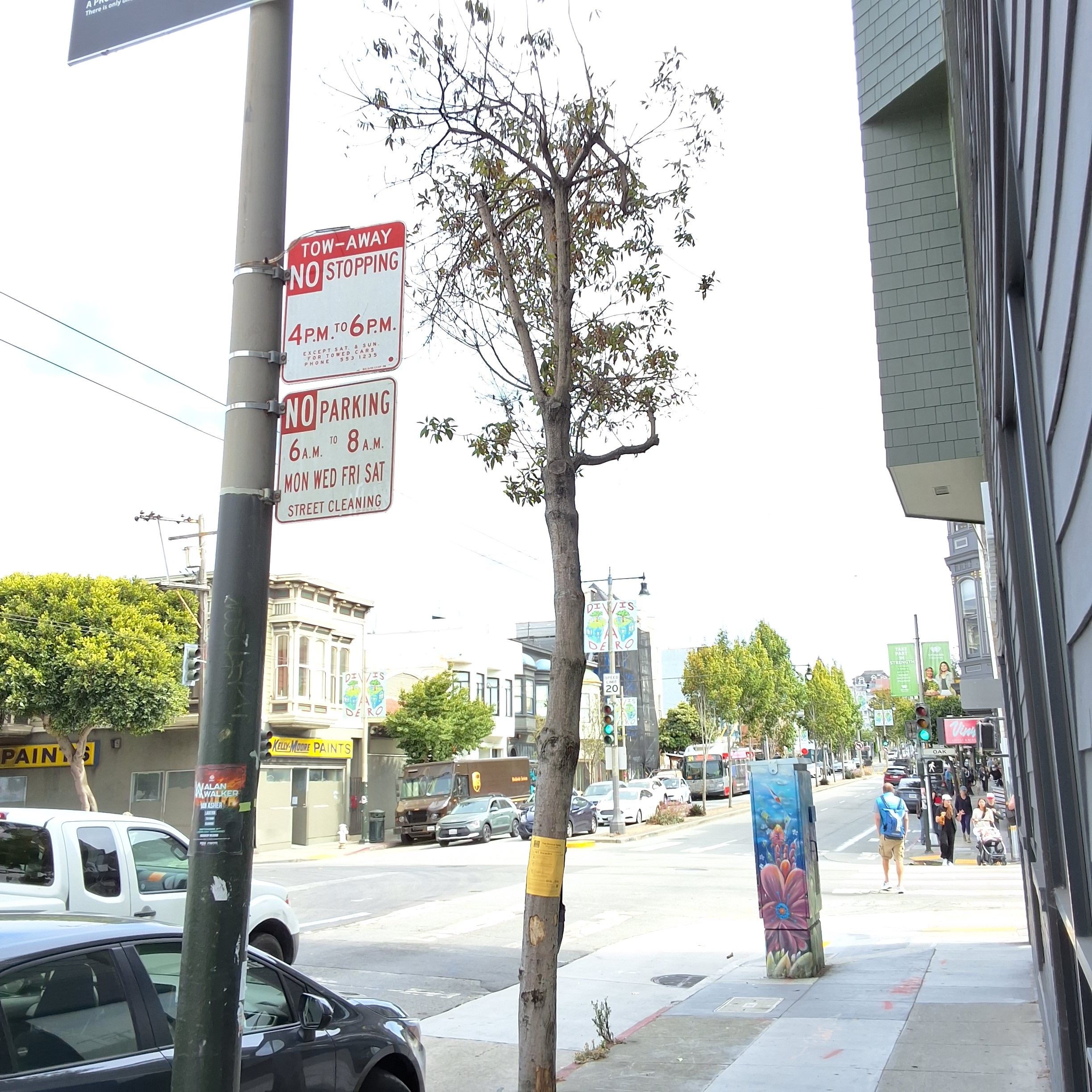425 Divisadero Street tree