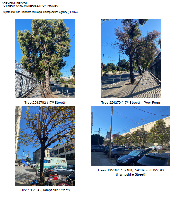 trees
