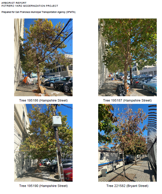 trees