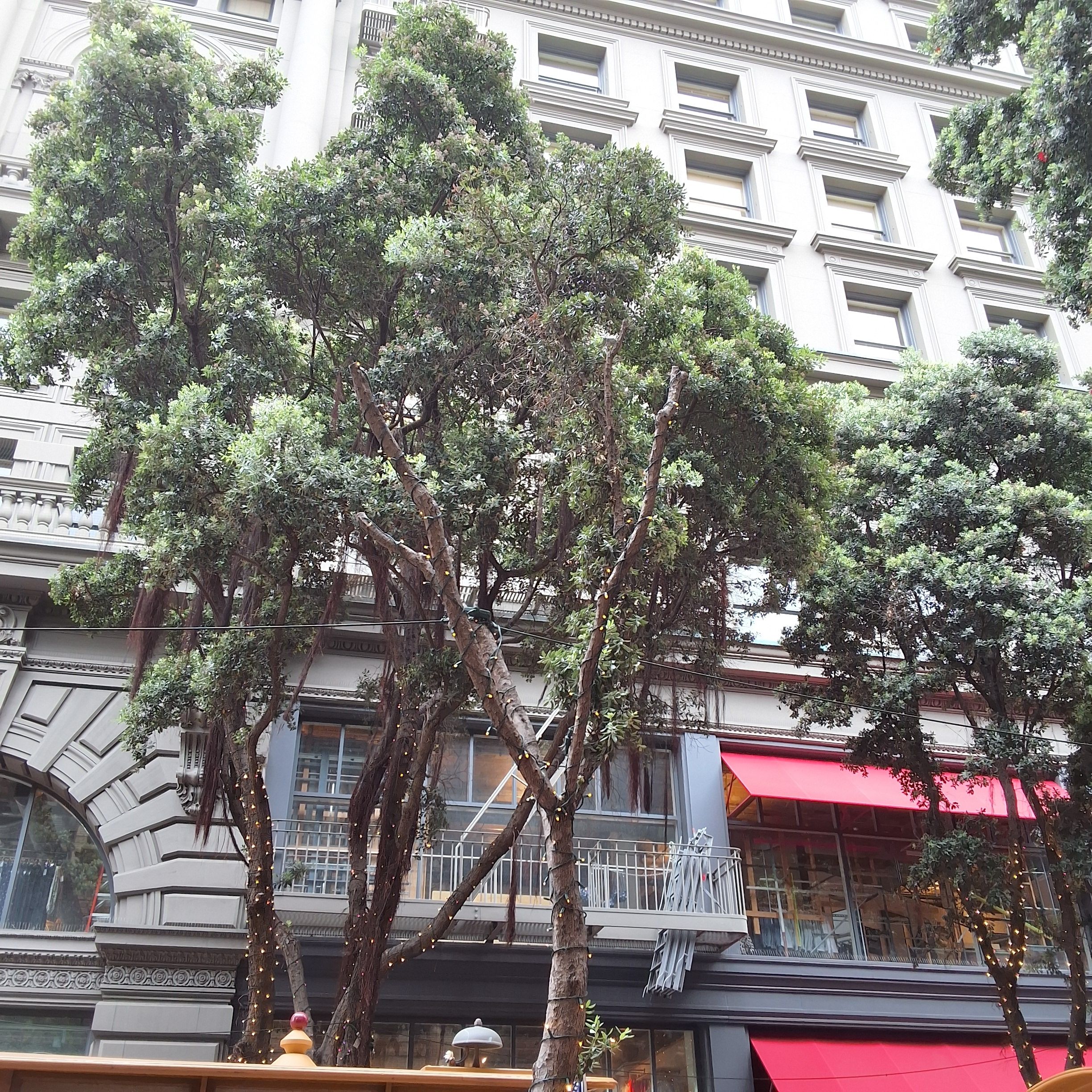 65 Powell St