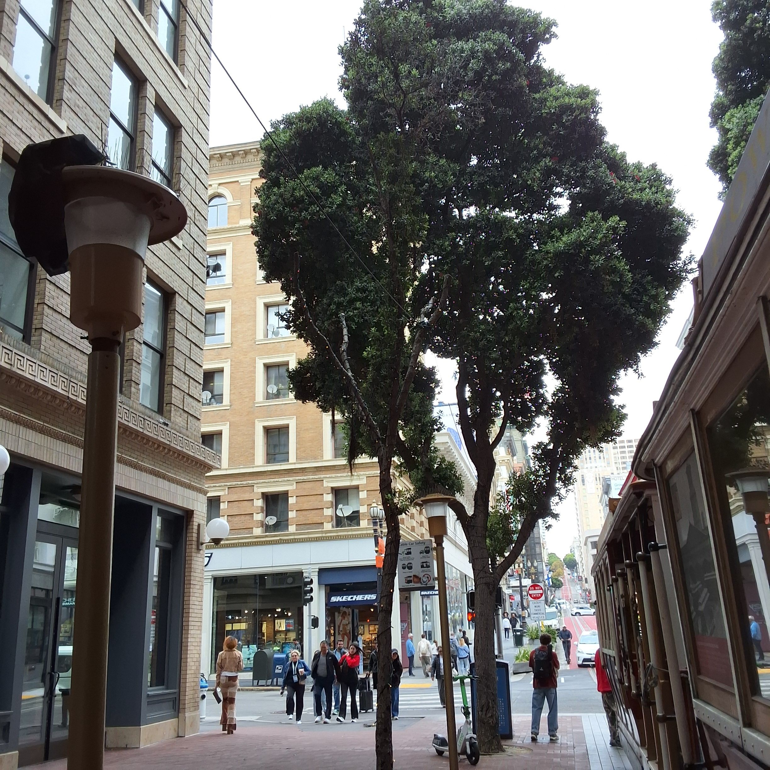 65 Powell St