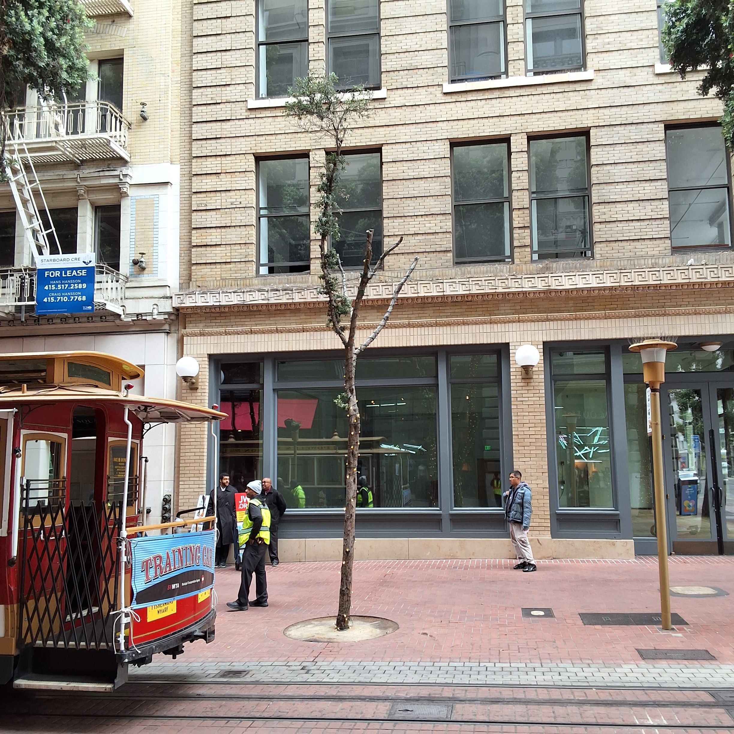 65 Powell St