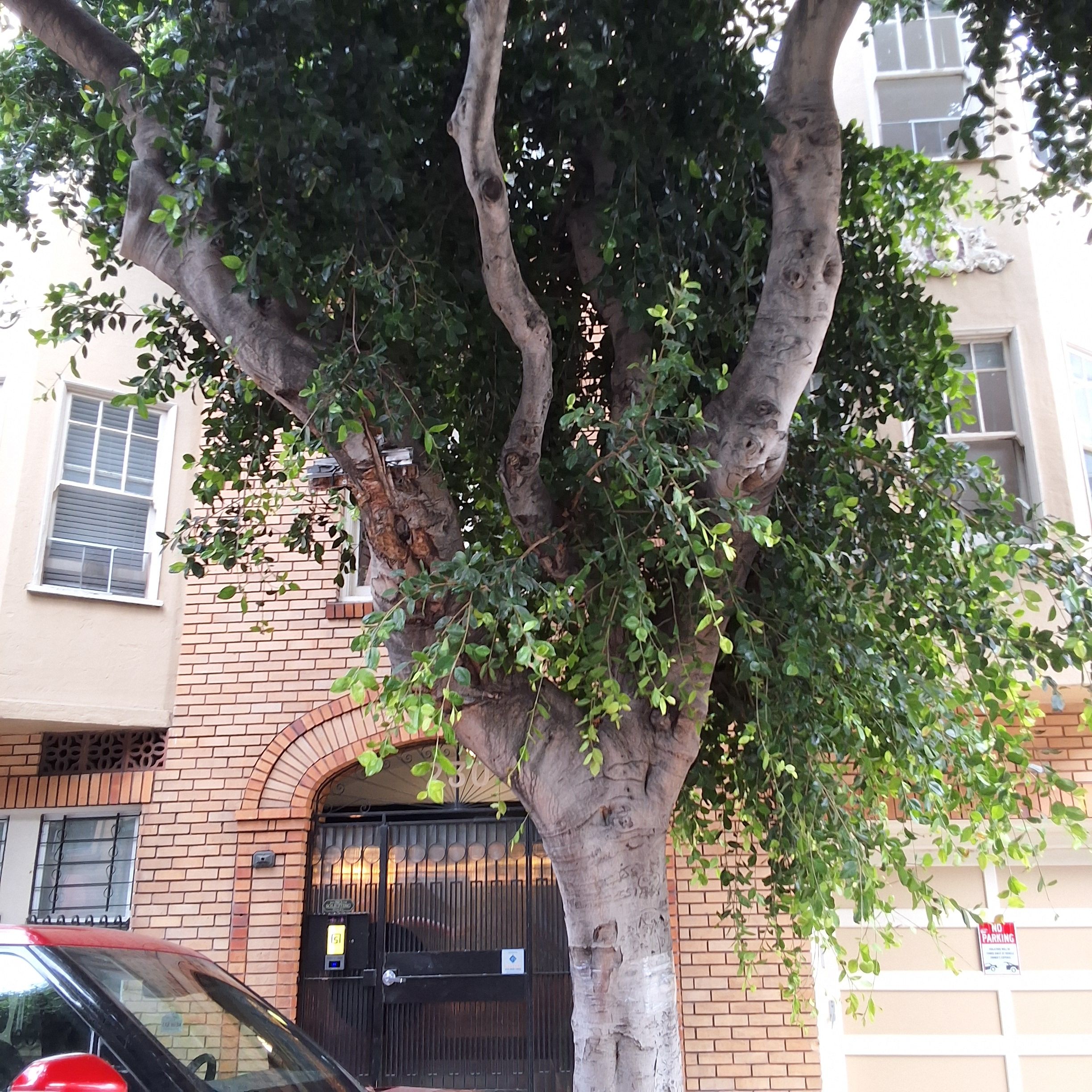 230 Oak St