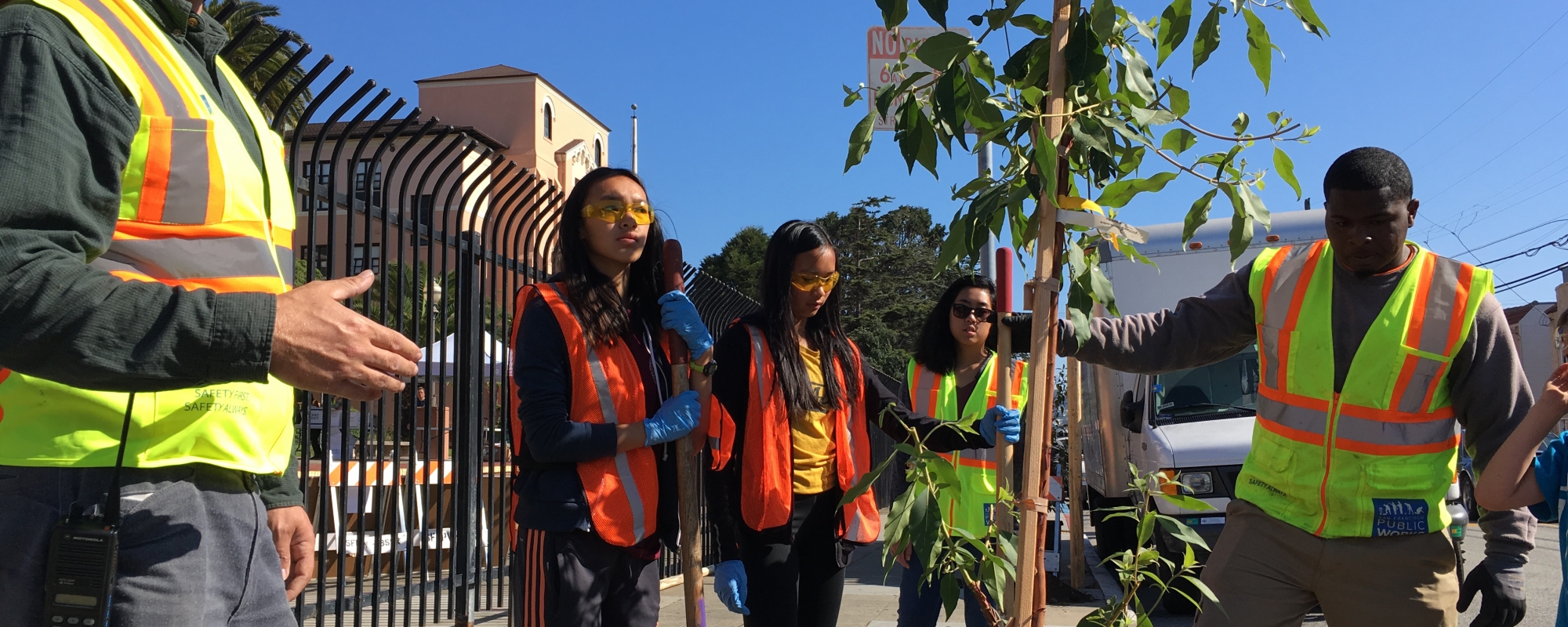 volunteers work with arborist to plant tree