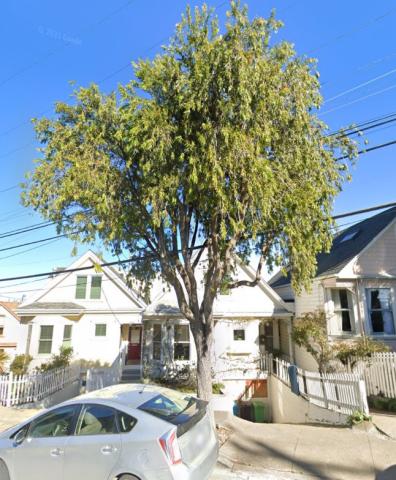 1641 York Street tree