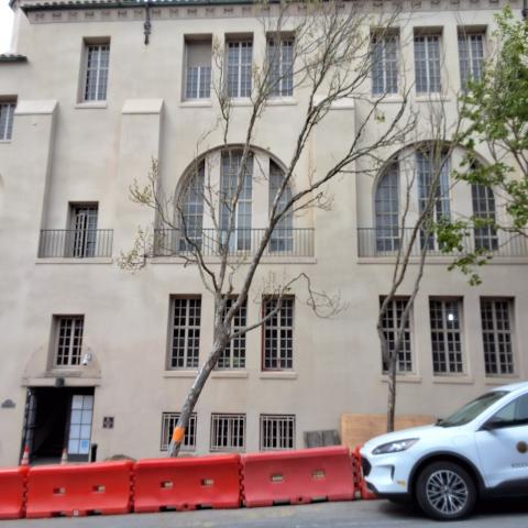 2 Lake Street (listed as 26 Lake Street) tree