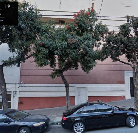 1333 Larkin St. tree