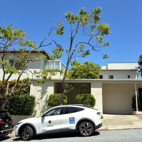 2772 Scott St. tree