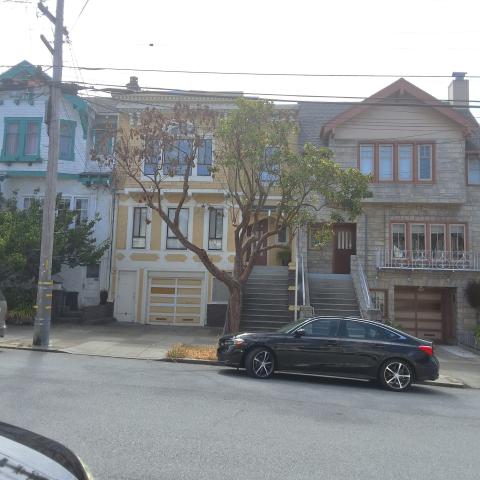 619 07th Ave tree