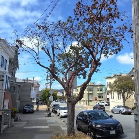 619 07th Ave 