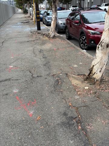 1101 Illinois sidewalk example