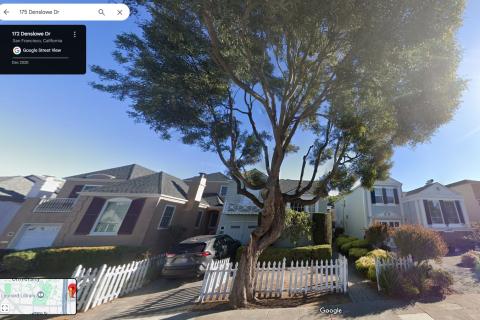 175 Denslowe Dr. tree