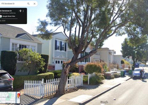 175 Denslowe Dr. tree