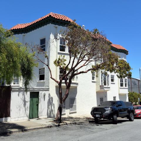 2 Madera St tree