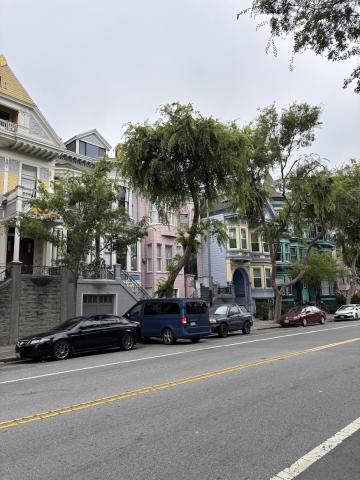2862 Folsom St tree