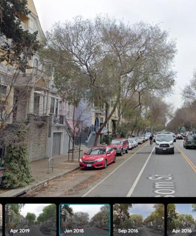 2862 Folsom St tree