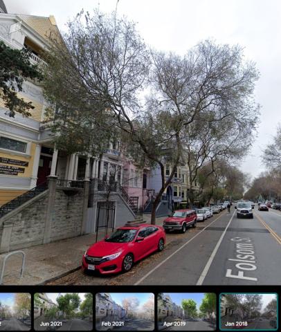 2862 Folsom St tree