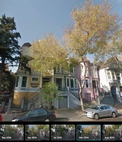2862 Folsom St tree