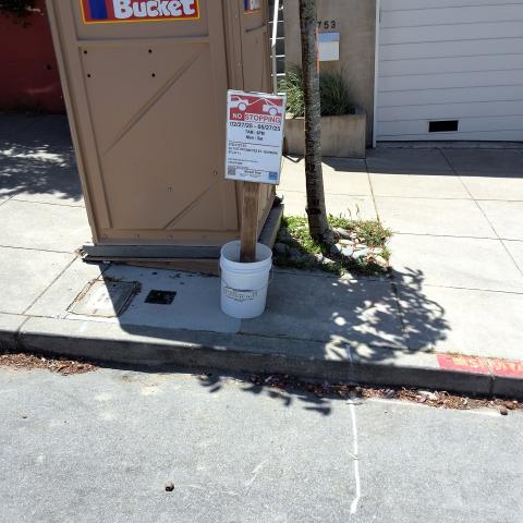 3753 21st St tree