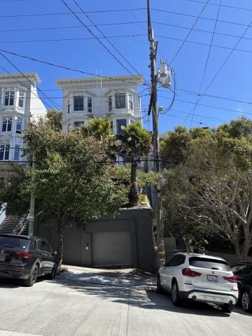1159 Green St tree 1