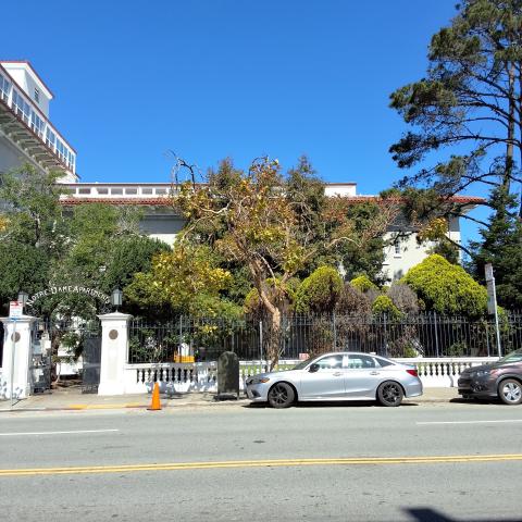 1590 Broadway tree