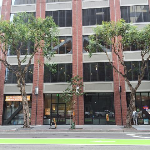 180 Howard St tree