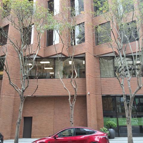 77 Howard St tree