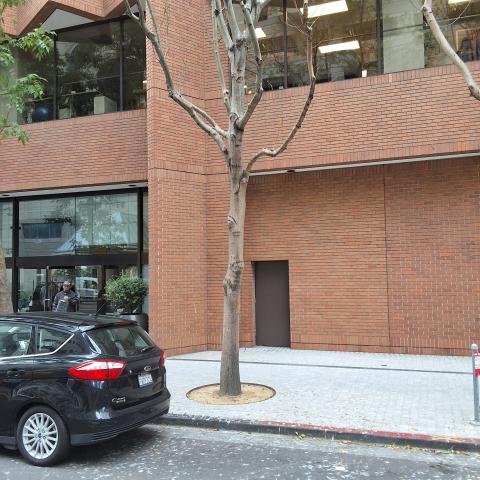 77 Howard St tree