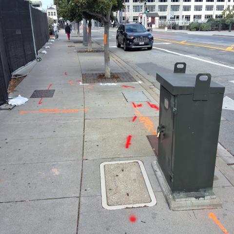 1108 4th St tree