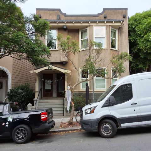 354 Coleridge St tree