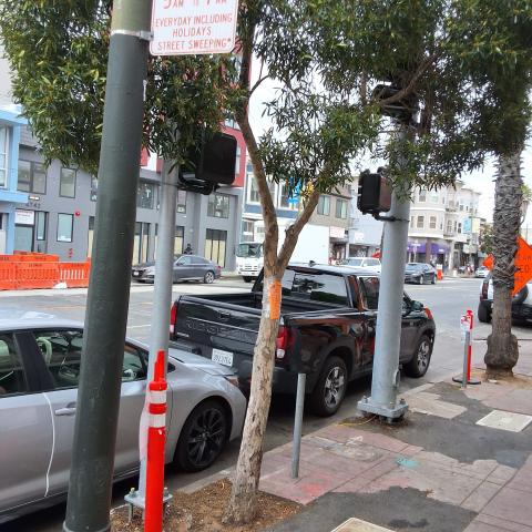 4769 Mission St. tree