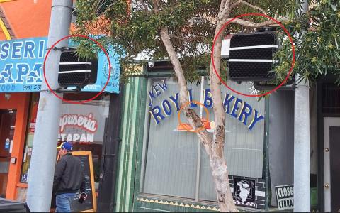 4769 Mission St. tree