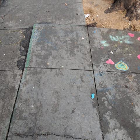 601 O'Farrell St ("445" Leavenworth St. frontage) tree