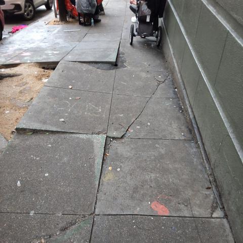 601 O'Farrell St ("445" Leavenworth St. frontage) tree