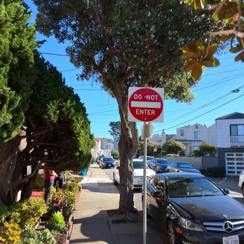 172 Escolta Way tree