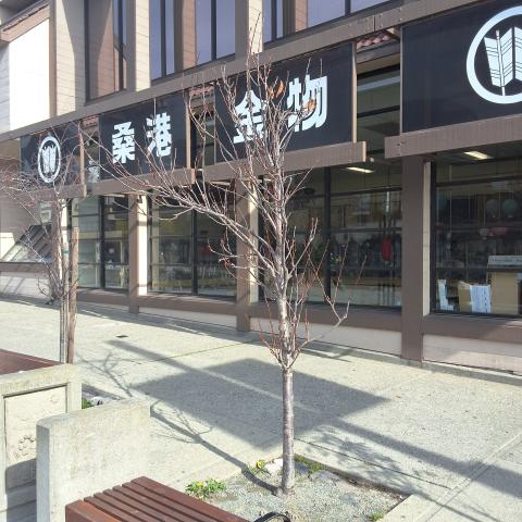 1700 Buchanan Street tree