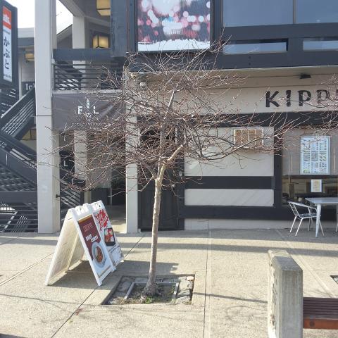 1705 Buchanan Street tree