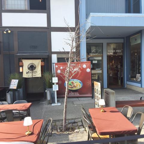 1737 Buchanan Street tree