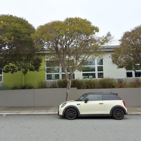 1300 Silliman Street tree