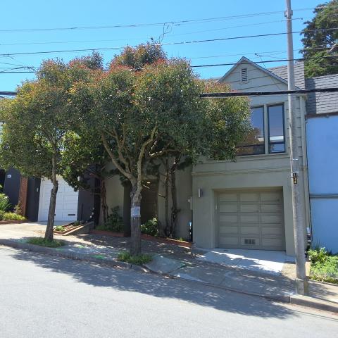 1334 Douglass Street tree