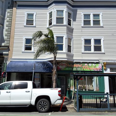 1741 Polk Street tree
